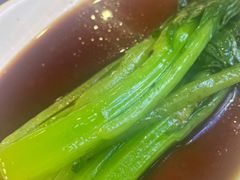 -添运来(茶园奥园广场店)