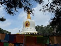 -护国法轮寺