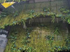 -别院里音乐餐酒吧(双流航空港店)