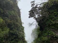 -峨眉山风景名胜区
