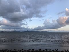 -深圳湾公园(南山区)