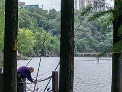 -重庆彩云湖湿地公园