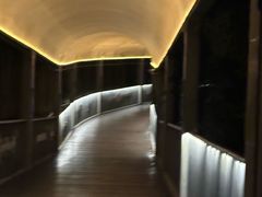 -罗子龙罗家桂花汤圆(曹都巷店)