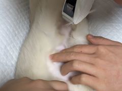 -纳吉亚猫专科动物医院博雅分院