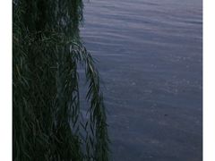 -南湖国家城市湿地公园
