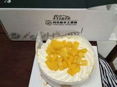 -维尔纳斯·生日蛋糕·动物奶油冰淇淋蛋糕(六里桥店)
