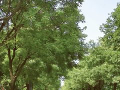 -终南山古楼观历史文化景区