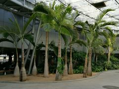 -北京植物园-展览温室