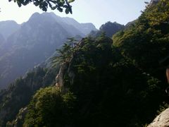 -王顺山国家森林公园