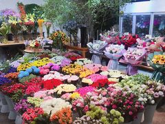 -双季花艺园艺市场(浦东店)