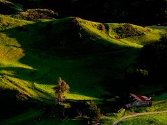 -怀托摩萤火虫洞