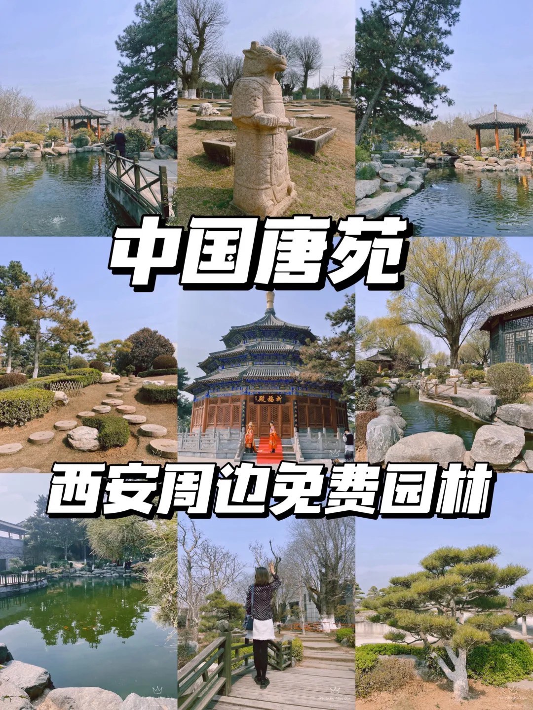 杜陵门票图片