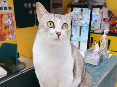 -谜盒子奇幻密室(南屏店)