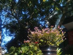 -一江春水·杭帮臻宴(三台山店)