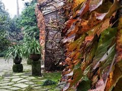 -南山植物园