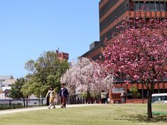 -金泽21世纪美术馆