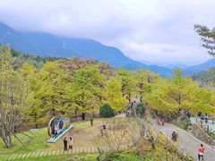 -零陵古城