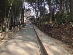-灵岩山风景区