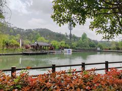 -黄陂区野村谷景区