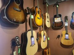 -柏斯琴行(汾阳店)