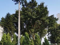 -十九路军淞沪抗日阵亡将士陵园