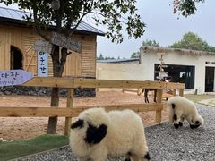 -HERRE·FARM 赫尔露营农场·团建聚会包场