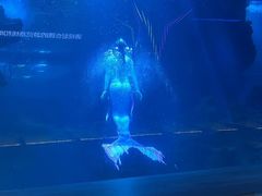-石家庄海洋公园