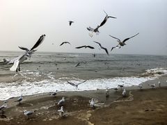 -老虎石海上公园