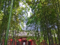 -天一阁博物院