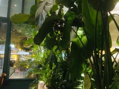 -Laures·月桂西班牙碳烤餐厅(十尚坊店)