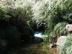 -中国茶叶博物馆(双峰馆区)