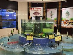 水产区-广州酒家(昌岗地铁站店)