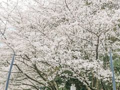 -杭州少年儿童公园