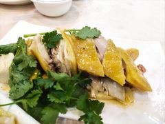 -陈记粤湛鸡饭店
