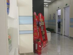 -中农国际动物医院24小时·猫科·骨科·急重症中心