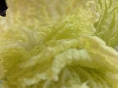 -陈记顺和潮汕牛肉火锅(棠德南路店)