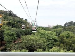 -广州长隆野生动物世界