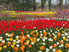 -国家植物园南园