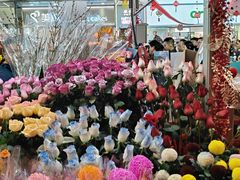 -越秀西湖花市(广州城市广场花卉店)