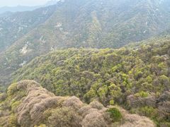 -少华山国家森林公园