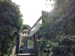 -龙井村