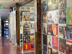 -树懒黑胶唱片店(中山路店)