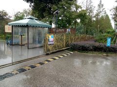 -田园东方蜜桃村的田野营地