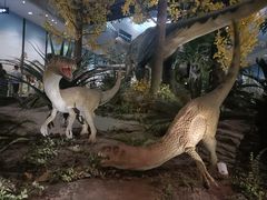 -湖南省地质博物馆