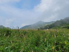 -白草畔自然风景区