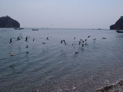 -棒棰岛宾馆景区