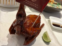 -侨美·唐荔园·40年地道粤菜