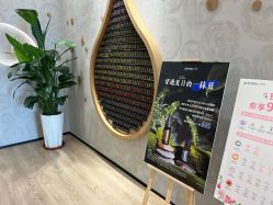 -dōTERRA多特瑞精油生活馆