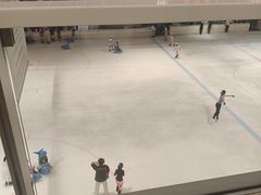 -TheRink大零溜冰场(IFS国金中心店)