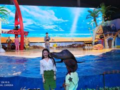 -三亚海昌梦幻海洋不夜城